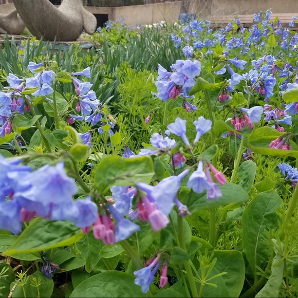 Meet your Posher, Mary - Picture 1 of 1